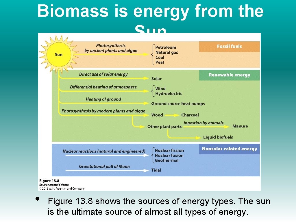 Biomass is energy from the Sun • Figure 13. 8 shows the sources of