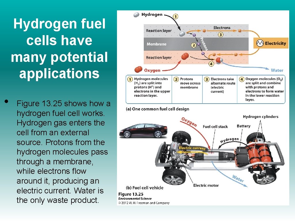 Hydrogen fuel cells have many potential applications • Figure 13. 25 shows how a