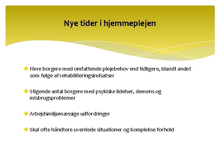 Nye tider i hjemmeplejen u Flere borgere med omfattende plejebehov end tidligere, blandt andet