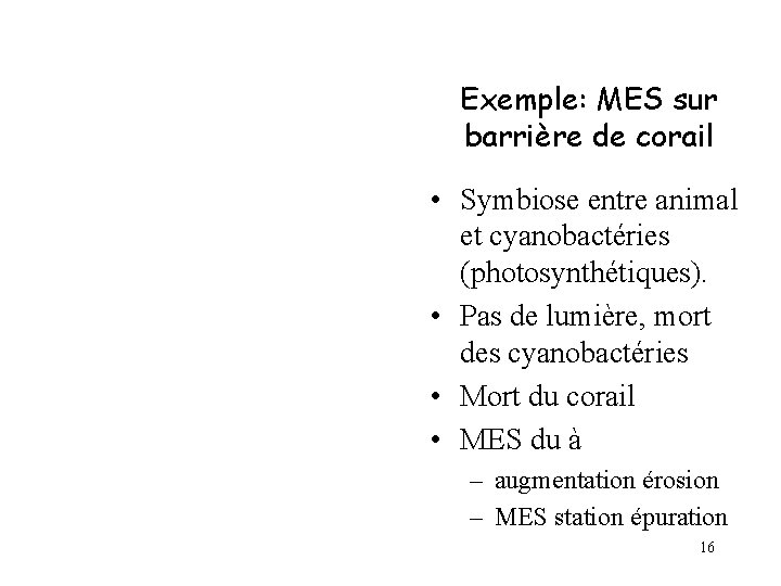 Exemple: MES sur barrière de corail • Symbiose entre animal et cyanobactéries (photosynthétiques). •