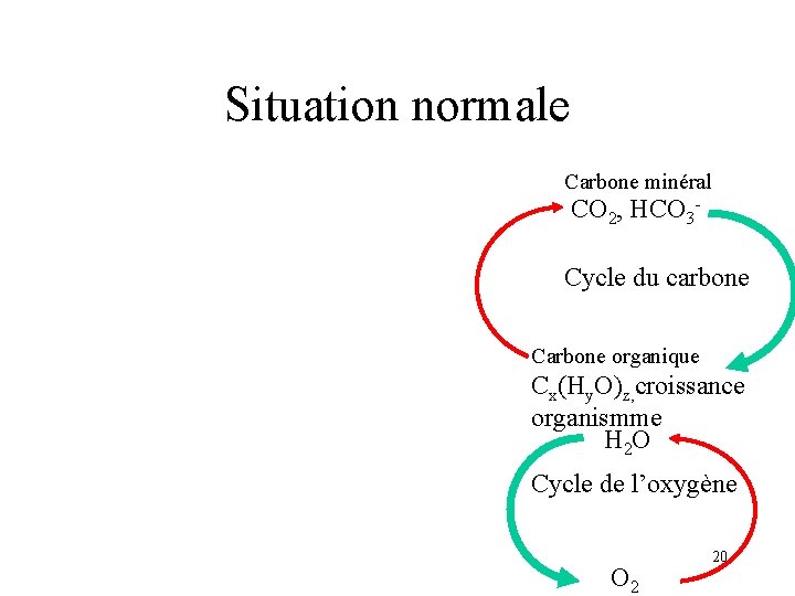 Situation normale Carbone minéral CO 2, HCO 3 Cycle du carbone Carbone organique Cx(Hy.