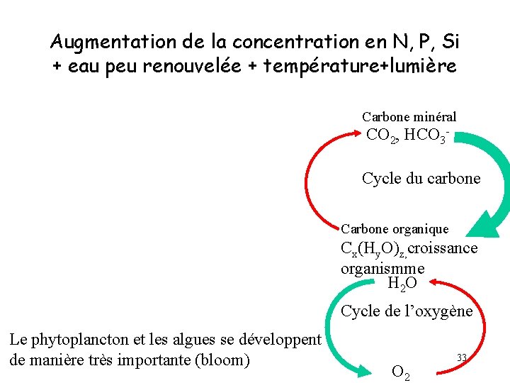 Augmentation de la concentration en N, P, Si + eau peu renouvelée + température+lumière