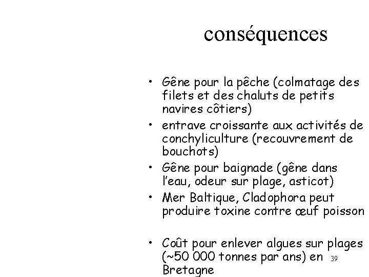 conséquences • Gêne pour la pêche (colmatage des filets et des chaluts de petits