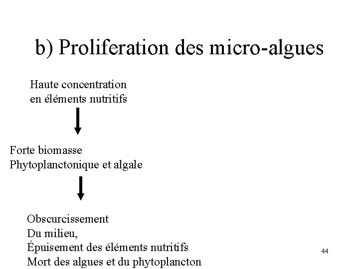 b) Proliferation des micro-algues Haute concentration en éléments nutritifs Forte biomasse Phytoplanctonique et algale