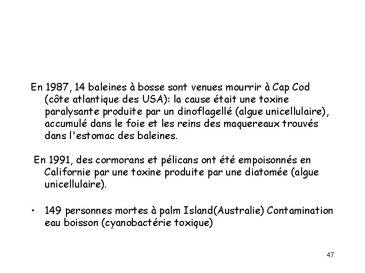 En 1987, 14 baleines à bosse sont venues mourrir à Cap Cod (côte atlantique