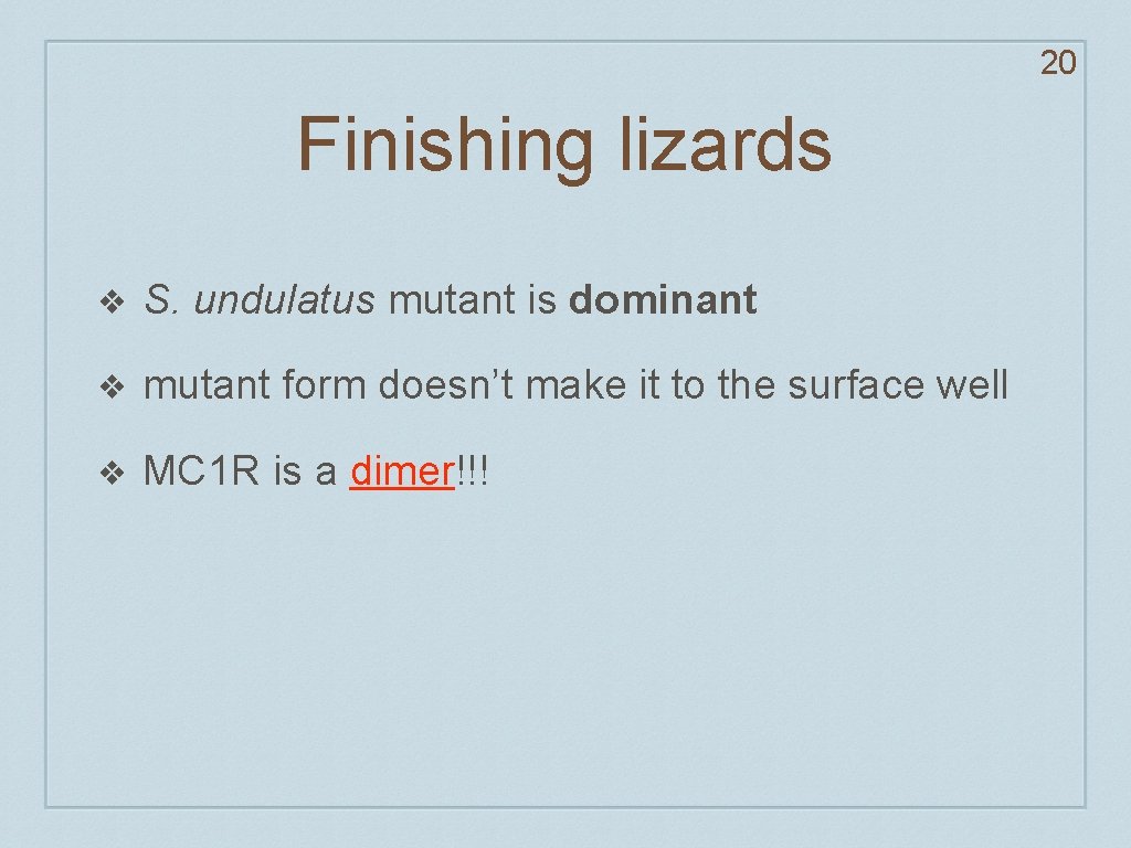 20 Finishing lizards ❖ S. undulatus mutant is dominant ❖ mutant form doesn’t make