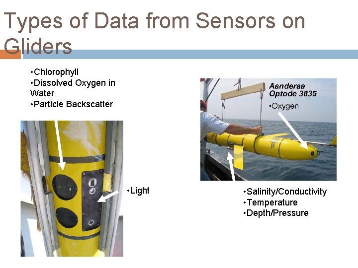 Types of Data from Sensors on Gliders • Chlorophyll • Dissolved Oxygen in Water