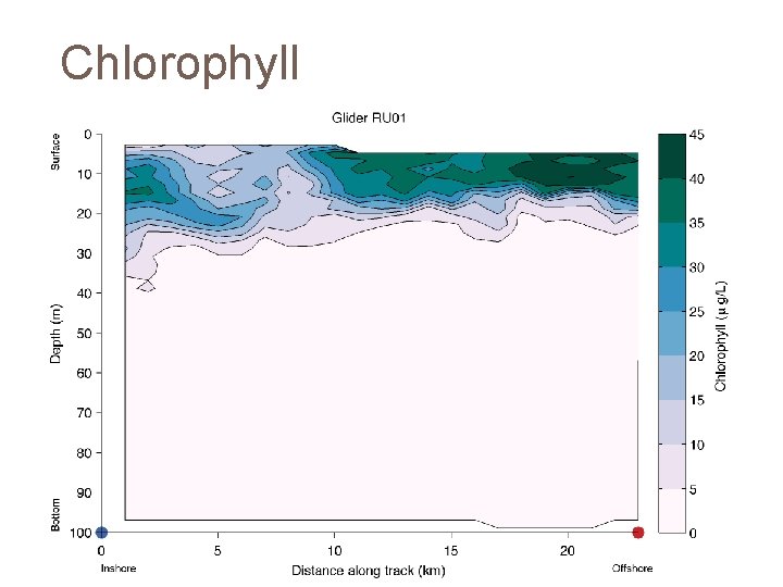 Chlorophyll 