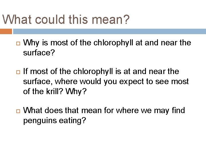 What could this mean? Why is most of the chlorophyll at and near the