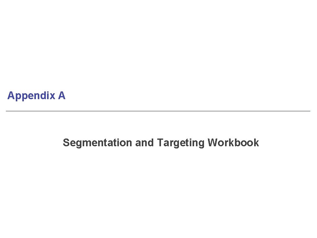 Appendix A Segmentation and Targeting Workbook 