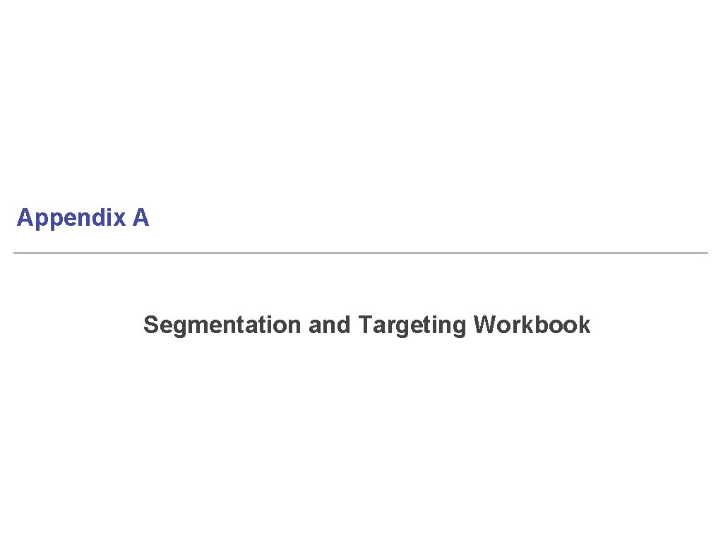 Appendix A Segmentation and Targeting Workbook 