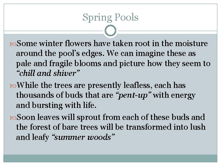 Spring Pools Some winter flowers have taken root in the moisture around the pool’s