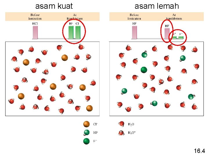 asam kuat asam lemah 16. 4 