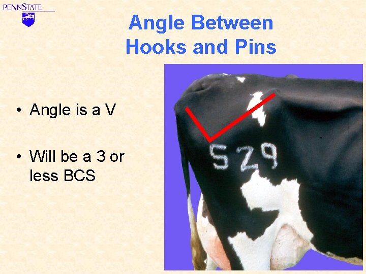 Angle Between Hooks and Pins • Angle is a V • Will be a