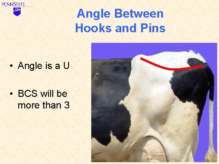Angle Between Hooks and Pins • Angle is a U • BCS will be