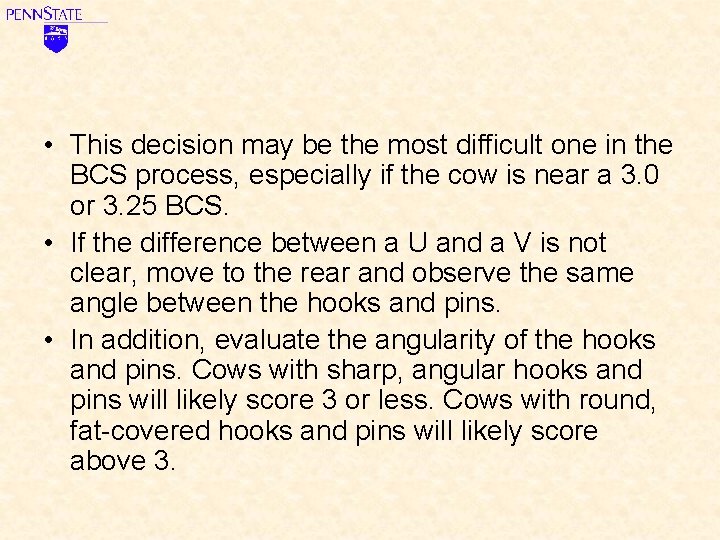  • This decision may be the most difficult one in the BCS process,