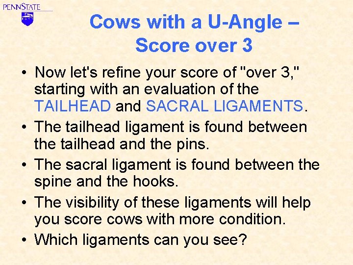 Cows with a U-Angle – Score over 3 • Now let's refine your score