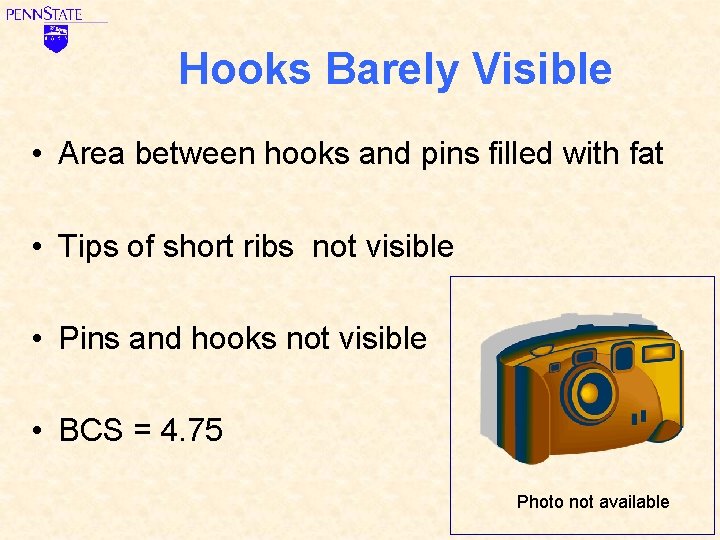 Hooks Barely Visible • Area between hooks and pins filled with fat • Tips