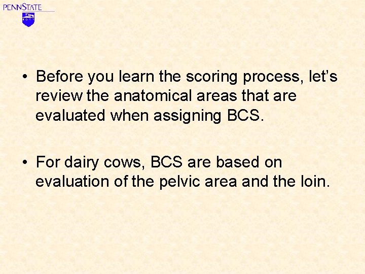  • Before you learn the scoring process, let’s review the anatomical areas that