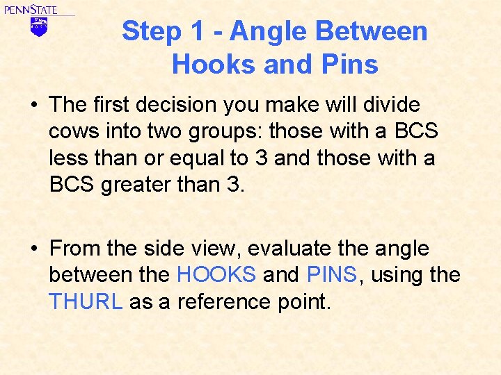 Step 1 - Angle Between Hooks and Pins • The first decision you make