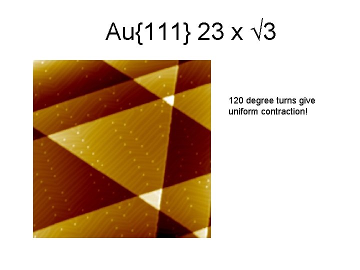 Au{111} 23 x 3 120 degree turns give uniform contraction! 