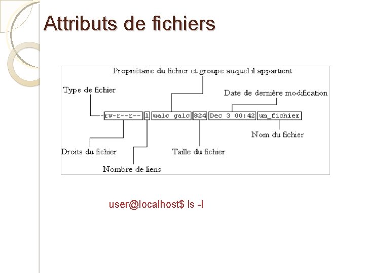 Attributs de fichiers user@localhost$ ls -l 
