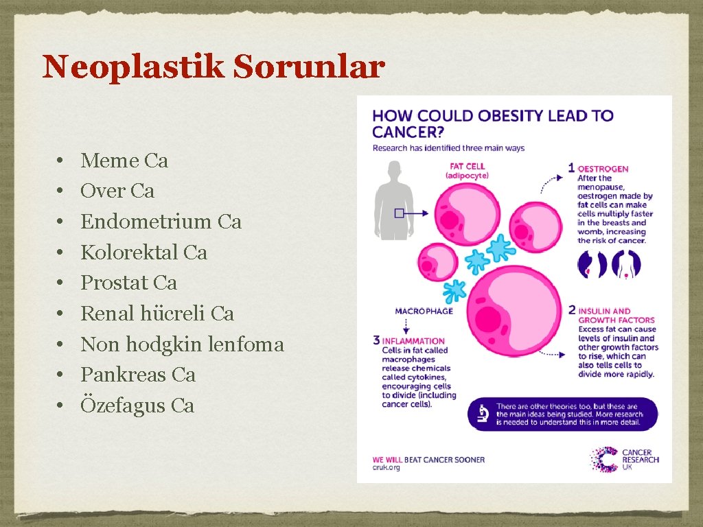 Neoplastik Sorunlar • • • Meme Ca Over Ca Endometrium Ca Kolorektal Ca Prostat