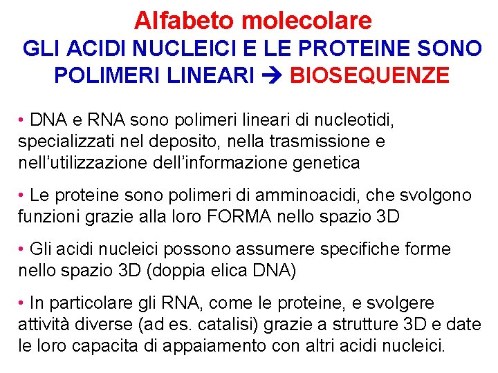 Alfabeto molecolare GLI ACIDI NUCLEICI E LE PROTEINE SONO POLIMERI LINEARI BIOSEQUENZE • DNA