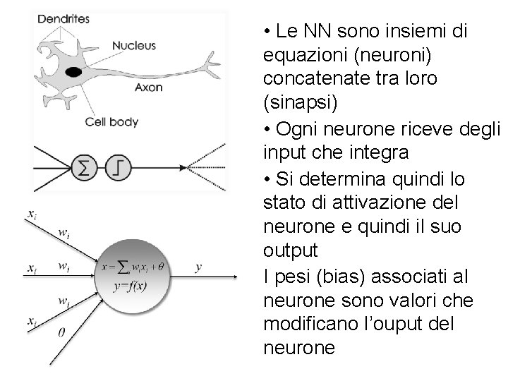  • Le NN sono insiemi di equazioni (neuroni) concatenate tra loro (sinapsi) •