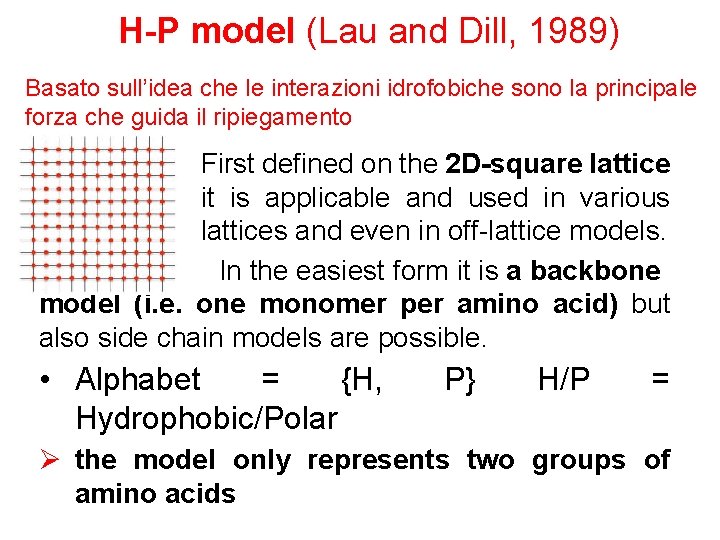 H-P model (Lau and Dill, 1989) Basato sull’idea che le interazioni idrofobiche sono la