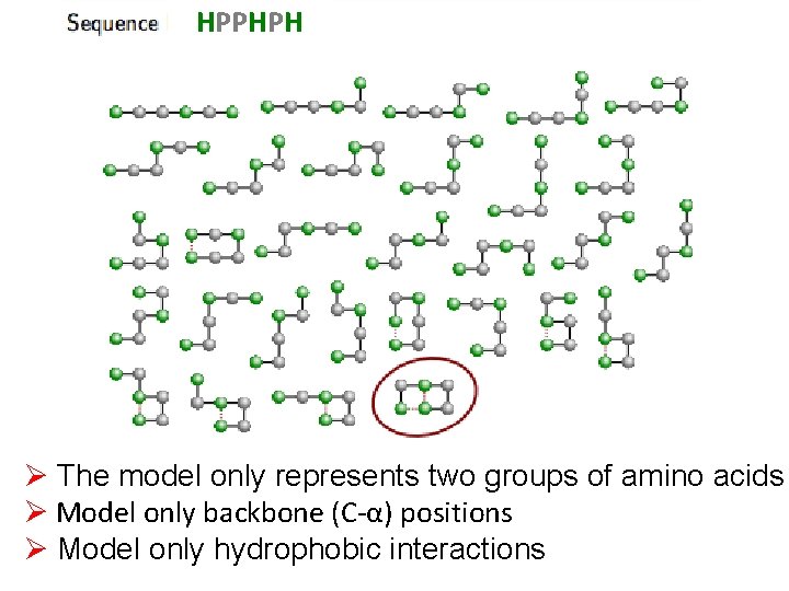 HPPHPH Ø The model only represents two groups of amino acids Ø Model only