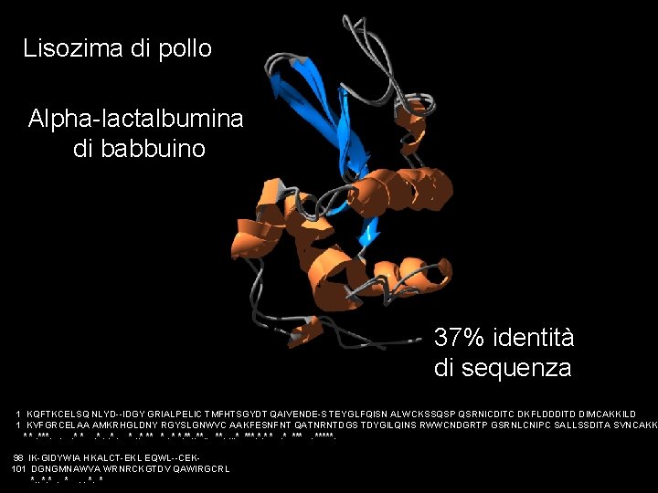 Lisozima di pollo Alpha-lactalbumina di babbuino 37% identità di sequenza 1 KQFTKCELSQ NLYD--IDGY GRIALPELIC