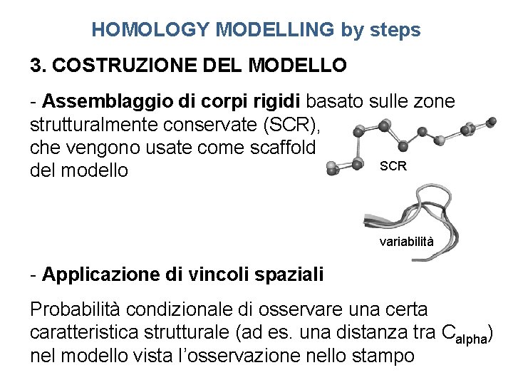 HOMOLOGY MODELLING by steps 3. COSTRUZIONE DEL MODELLO - Assemblaggio di corpi rigidi basato