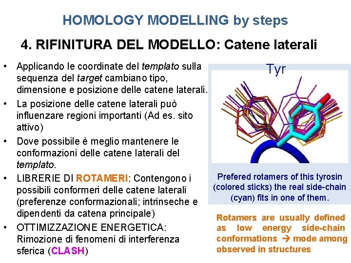 HOMOLOGY MODELLING by steps 4. RIFINITURA DEL MODELLO: Catene laterali • Applicando le coordinate