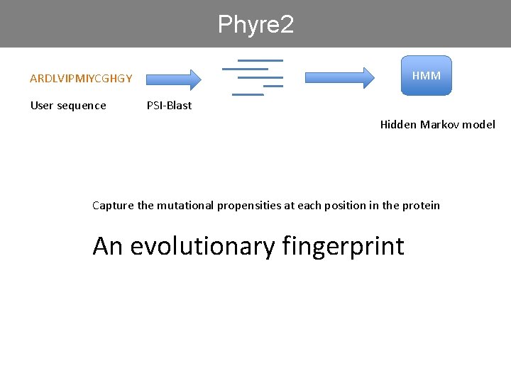 Phyre 2 HMM ARDLVIPMIYCGHGY User sequence PSI-Blast Hidden Markov model Capture the mutational propensities