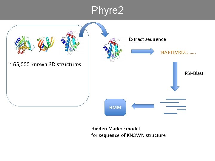 Phyre 2 Extract sequence HAPTLVRDC……. ~ 65, 000 known 3 D structures PSI-Blast HMM