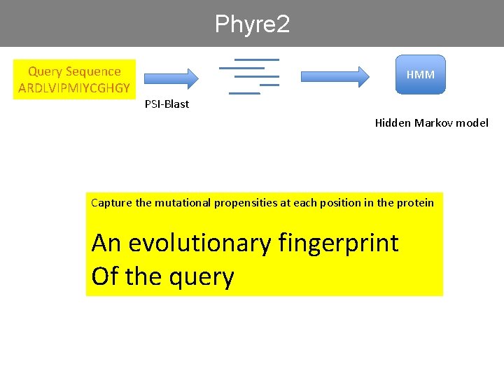 Phyre 2 Query Sequence ARDLVIPMIYCGHGY HMM PSI-Blast Hidden Markov model Capture the mutational propensities