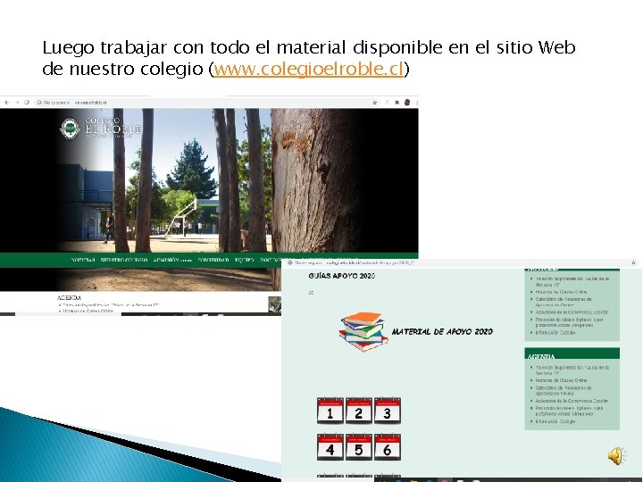 Luego trabajar con todo el material disponible en el sitio Web de nuestro colegio