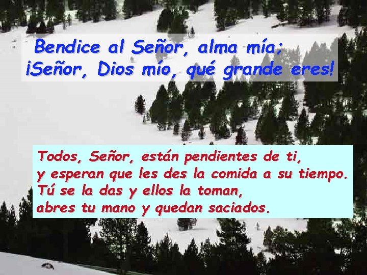 Bendice al Señor, alma mía; ¡Señor, Dios mío, qué grande eres! Todos, Señor, están