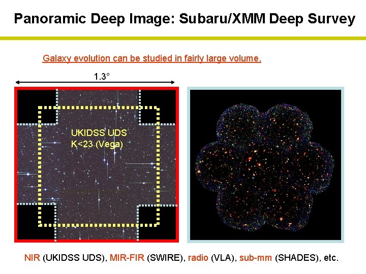 Panoramic Deep Image: Subaru/XMM Deep Survey Galaxy evolution can be studied in fairly large