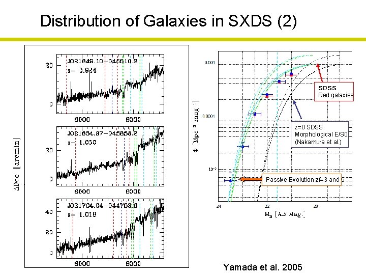 Distribution of Galaxies in SXDS (2) ＳＤＳＳ Red galaxies z=0 SDSS Morphological E/S 0