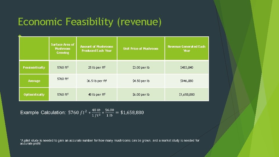 Economic Feasibility (revenue) Surface Area of Mushroom Growing Amount of Mushrooms Produced Each Year