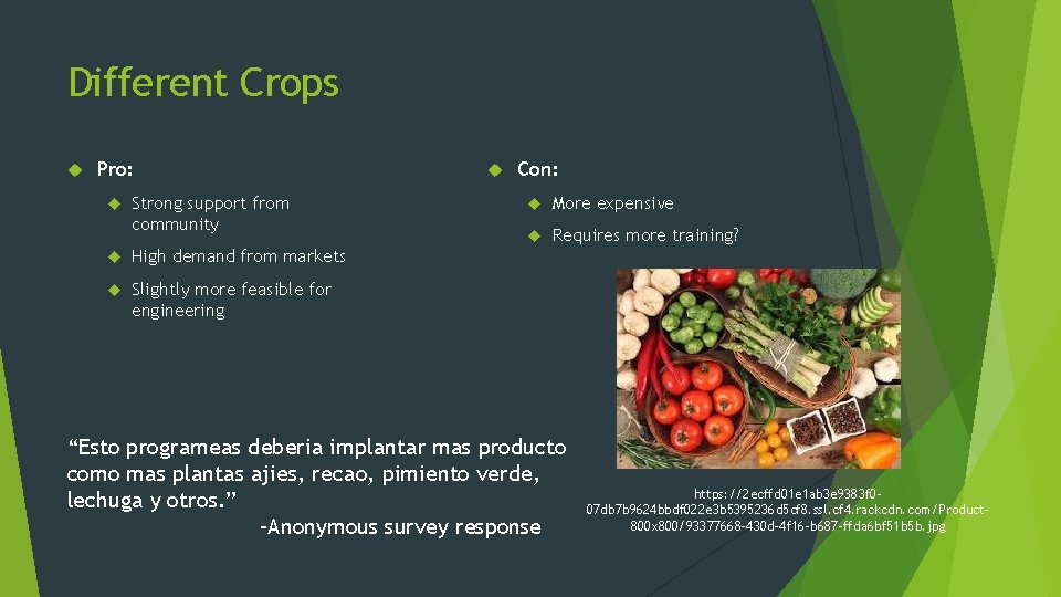 Different Crops Pro: Strong support from community High demand from markets Slightly more feasible