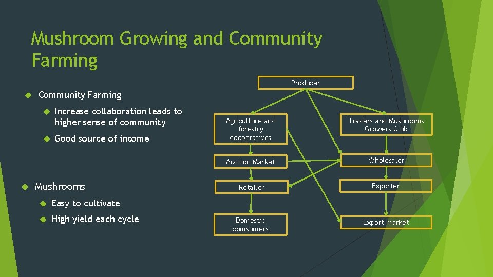 Mushroom Growing and Community Farming Producer Community Farming Increase collaboration leads to higher sense