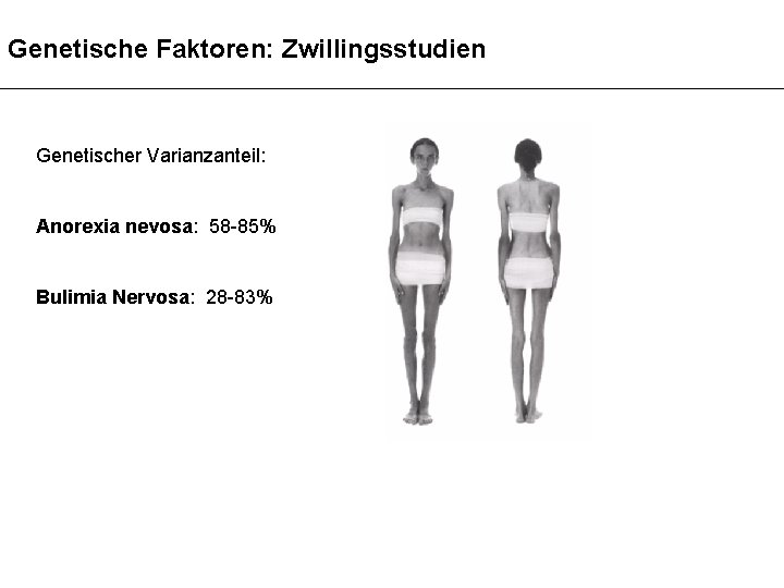 Genetische Faktoren: Zwillingsstudien Genetischer Varianzanteil: Anorexia nevosa: 58 -85% Bulimia Nervosa: 28 -83% 