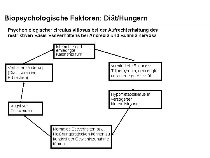 Biopsychologische Faktoren: Diät/Hungern Psychobiologischer circulus vitiosus bei der Aufrechterhaltung des restriktiven Basis-Essverhaltens bei Anorexia
