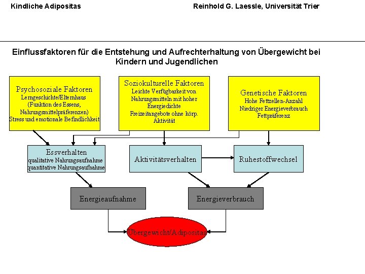 Kindliche Adipositas Reinhold G. Laessle, Universität Trier Einflussfaktoren für die Entstehung und Aufrechterhaltung von