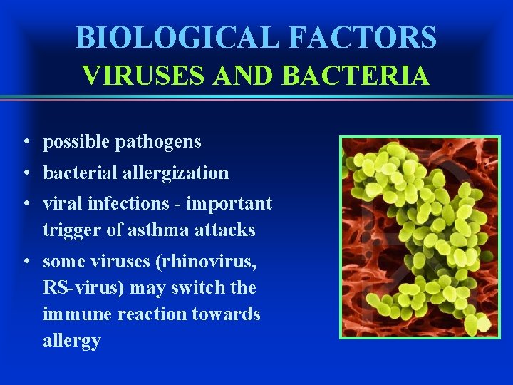 BIOLOGICAL FACTORS VIRUSES AND BACTERIA • possible pathogens • bacterial allergization • viral infections
