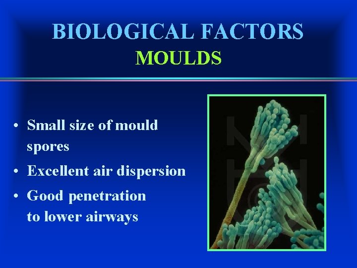 BIOLOGICAL FACTORS MOULDS • Small size of mould spores • Excellent air dispersion •