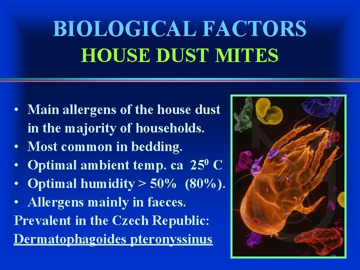 BIOLOGICAL FACTORS HOUSE DUST MITES • Main allergens of the house dust in the